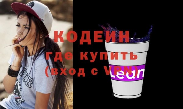 молекула духа Медвежьегорск