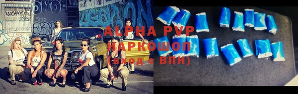молекула духа Медвежьегорск