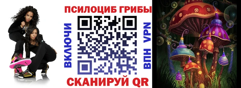где продают   ОМГ ОМГ ссылки  Галлюциногенные грибы мицелий  Озёрск 